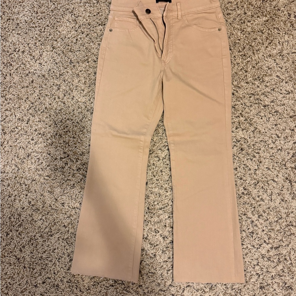 Express Stylish Tan Pants